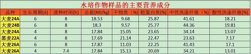 水培牧草-水培牧草品种