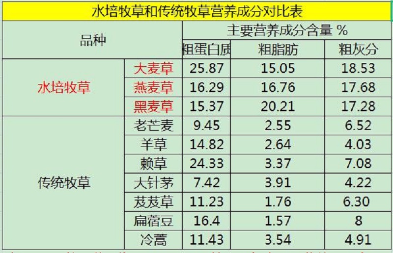 水培牧草与传统牧草相比