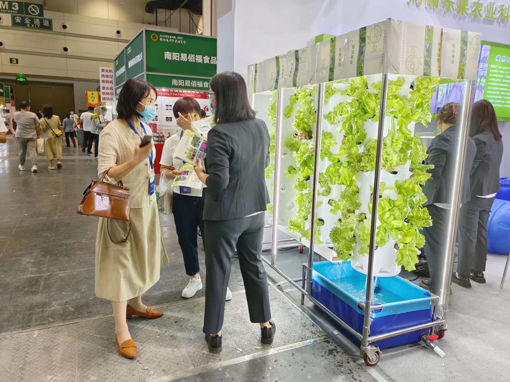 水培立柱种植蔬菜